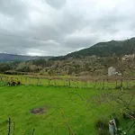 Casa Vinograd *