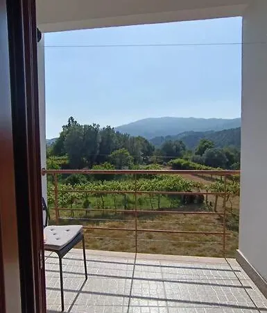 Casa Vinograd סואז'ו