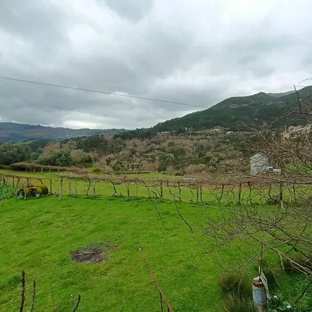 Casa Vinograd *